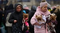 Расписание эвакуационных рейсов из Харькова на 21 марта