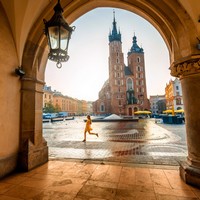 Ирландский лоукостер из Харькова в Краков