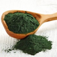 Порошок спирулины