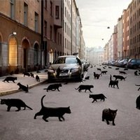 Приметы и суеверия перед дорогой
